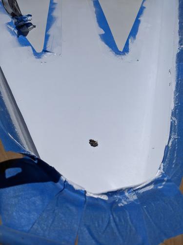 Bird Poop On Foredeck Paint